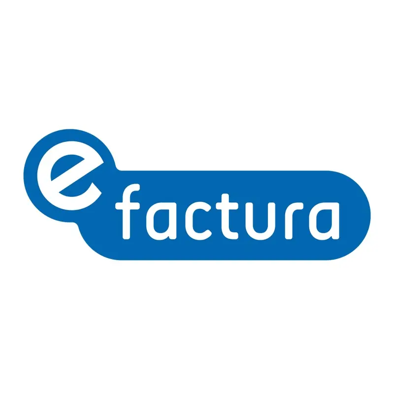 E-Factura 1 an